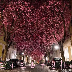 bestiaⅠity3D性狼交m
